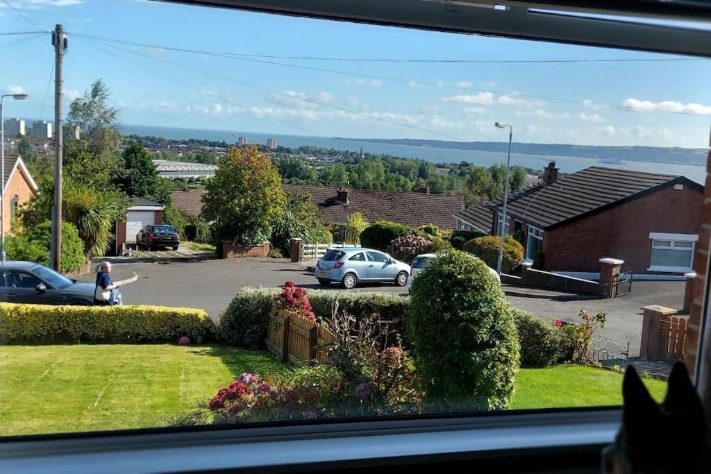 Bellevue Bungalow - Comfortable Home With Amazing Views Belfast Esterno foto