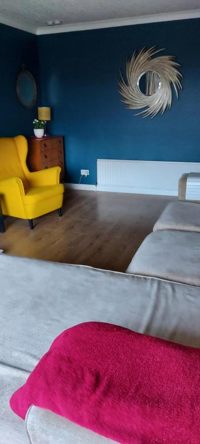 Bellevue Bungalow - Comfortable Home With Amazing Views Belfast Esterno foto