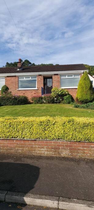 Bellevue Bungalow - Comfortable Home With Amazing Views Belfast Esterno foto