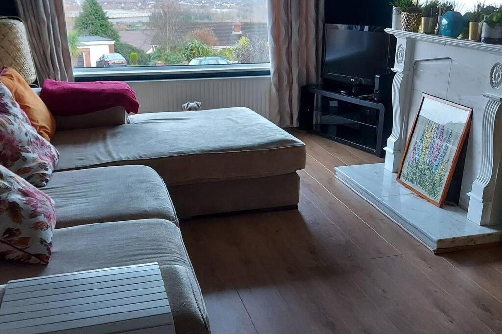 Bellevue Bungalow - Comfortable Home With Amazing Views Belfast Esterno foto